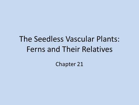 The Seedless Vascular Plants: Ferns and Their Relatives