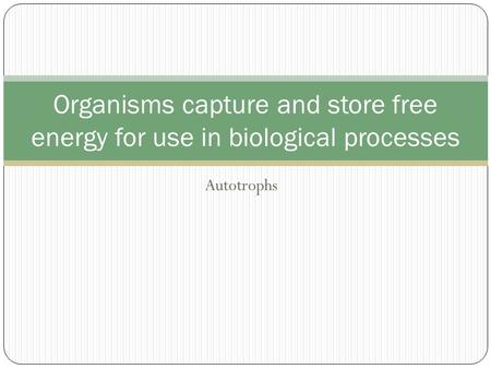Autotrophs Organisms capture and store free energy for use in biological processes.