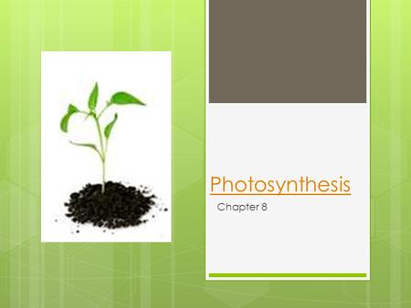 Photosynthesis Chapter 8. Where does all of our energy come from?