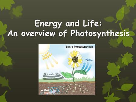 Energy and Life: An overview of Photosynthesis