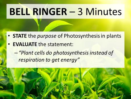 BELL RINGER – 3 Minutes STATE the purpose of Photosynthesis in plants EVALUATE the statement: – “Plant cells do photosynthesis instead of respiration to.