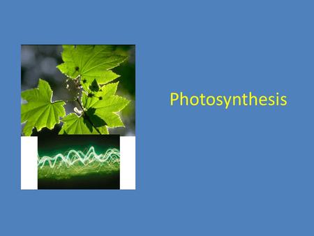 Photosynthesis. Energy is the ability to do work Living things depend on energy. Organisms that make their own food = autotrophs Plants and some other.