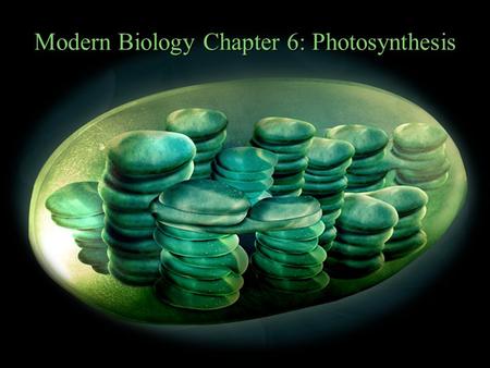 Modern Biology Chapter 6: Photosynthesis