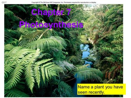 Chapter 7 Photosynthesis