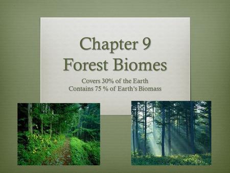Covers 30% of the Earth Contains 75 % of Earth’s Biomass