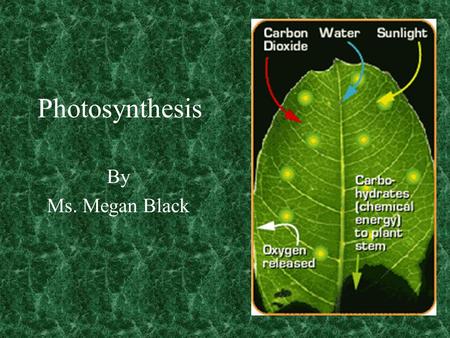 Photosynthesis By Ms. Megan Black Photosynthesis Photosynthesis is the process of making food by plants The essential ingredients in making this.