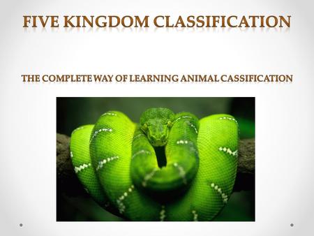 1.Kingdom Monera 2.Kingdom Protista 3.Kingdom Fungi 4.Kingdom Plantae 5.Kingdom Animals (Click on the Kingdom name)