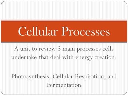 Photosynthesis, Cellular Respiration, and Fermentation