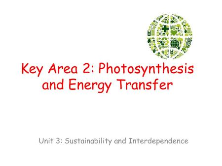 Key Area 2: Photosynthesis and Energy Transfer