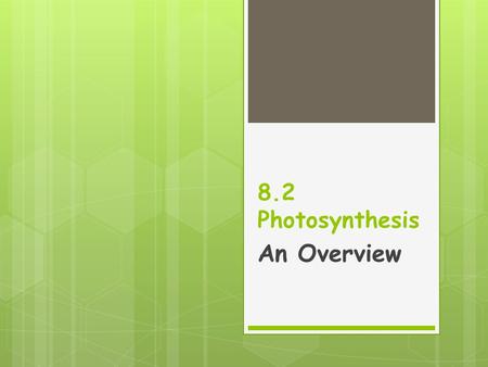 8.2 Photosynthesis An Overview.