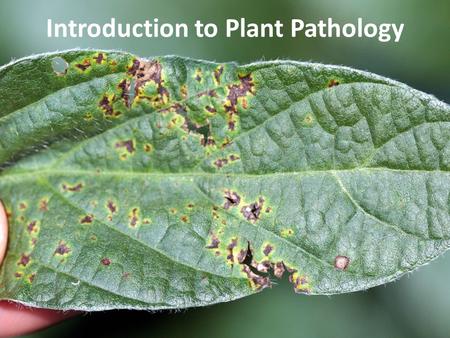 Introduction to Plant Pathology