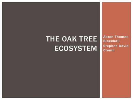 Aaron Thomas Blackhall Stephen David Cronin THE OAK TREE ECOSYSTEM.