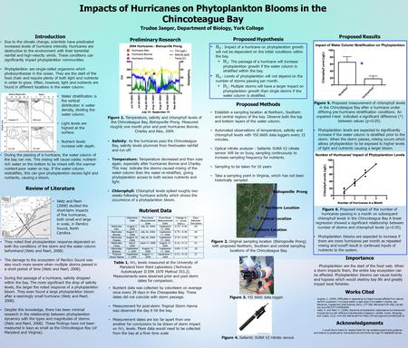 Impacts of Hurricanes on Phytoplankton Blooms in the Chincoteague Bay Trudee Jaeger, Department of Biology, York College Introduction Due to the climate.