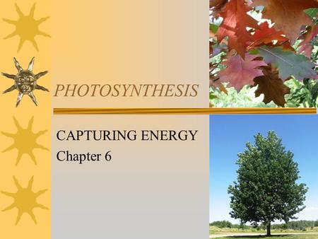 CAPTURING ENERGY Chapter 6