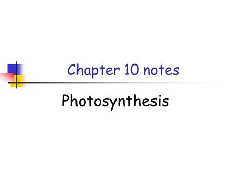 Chapter 10 notes Photosynthesis.