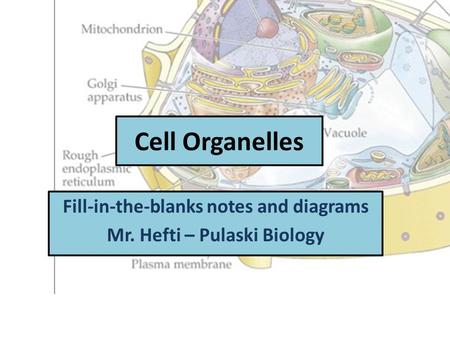 Fill-in-the-blanks notes and diagrams Mr. Hefti – Pulaski Biology