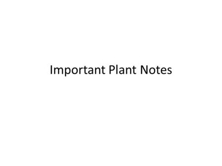 Important Plant Notes.