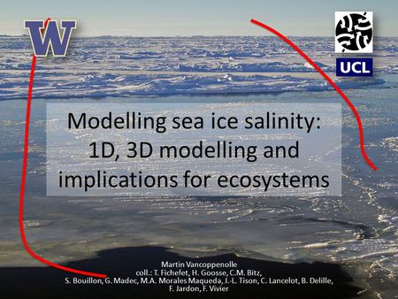Modelling sea ice salinity: 1D, 3D modelling and implications for ecosystems Martin Vancoppenolle coll.: T. Fichefet, H. Goosse, C.M. Bitz, S. Bouillon,