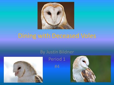 Dining with Deceased Voles By Justin Bildner Period 1 #4.