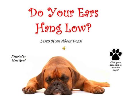 Do Your Ears Hang Low? Narrated by Mary Reed Click your paw here to turn the page! Learn More About Dogs!
