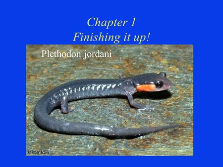 Chapter 1 Finishing it up! Plethodon jordani. Chapter 1 Finishing it up!