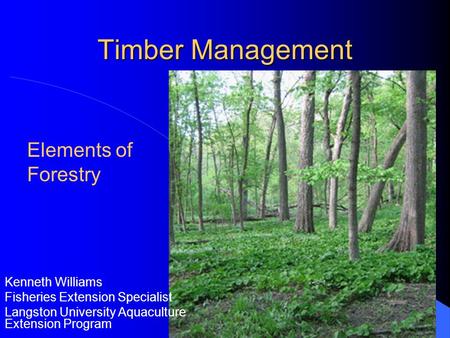 Timber Management Elements of Forestry Kenneth Williams
