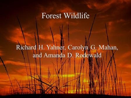 Forest Wildlife Richard H. Yahner, Carolyn G. Mahan, and Amanda D. Rodewald.