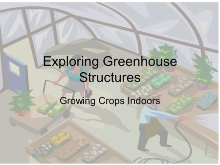 Exploring Greenhouse Structures Growing Crops Indoors.