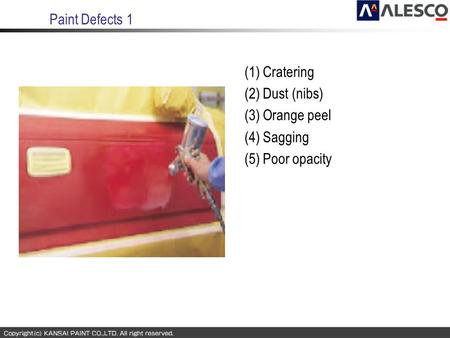 Paint Defects 1 (1) Cratering (2) Dust (nibs) (3) Orange peel