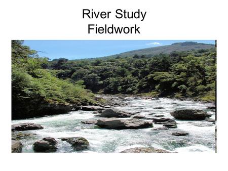 River Study Fieldwork.