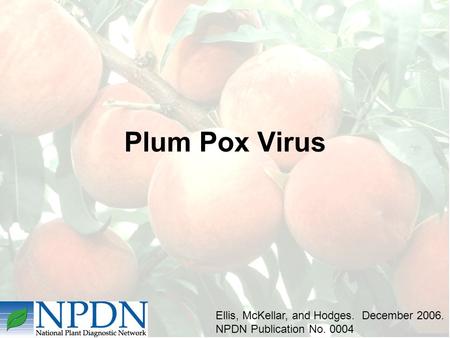 Plum Pox Virus Ellis, McKellar, and Hodges. December 2006. NPDN Publication No. 0004.