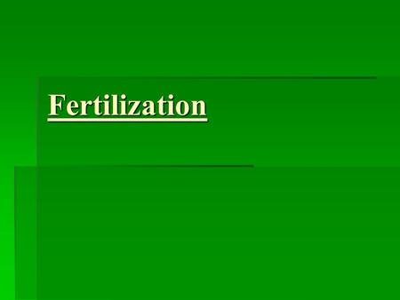 Fertilization.