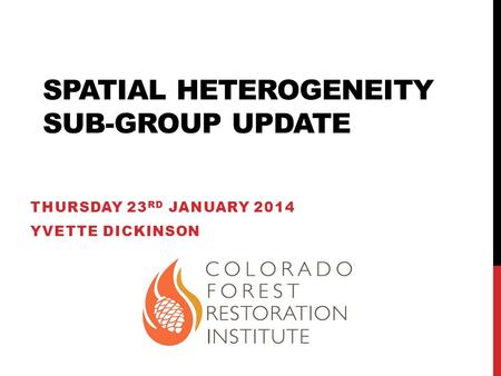 SPATIAL HETEROGENEITY SUB-GROUP UPDATE THURSDAY 23 RD JANUARY 2014 YVETTE DICKINSON.