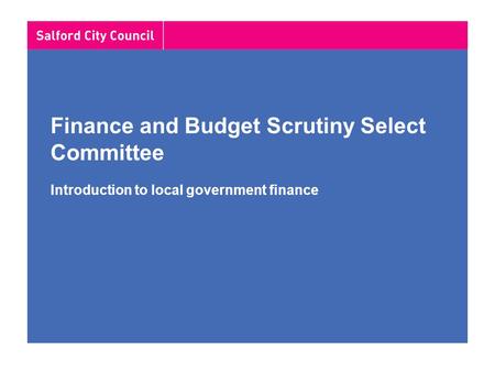 Finance and Budget Scrutiny Select Committee Introduction to local government finance.