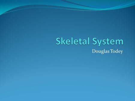 Douglas Todey. Functions Give shape to the human body Support the body and hold internal organs in their place Work with the muscular system to create.