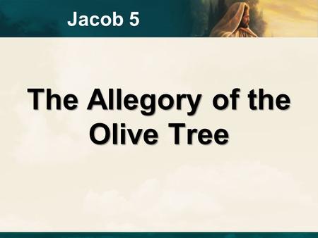 The Allegory of the Olive Tree