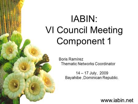 Www.iabin.net IABIN: VI Council Meeting Component 1 Boris Ramírez Thematic Networks Coordinator 14 – 17 July, 2009 Bayahibe,Dominican Republic.