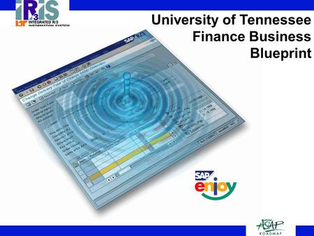 1 University of Tennessee Finance Business Blueprint 1.
