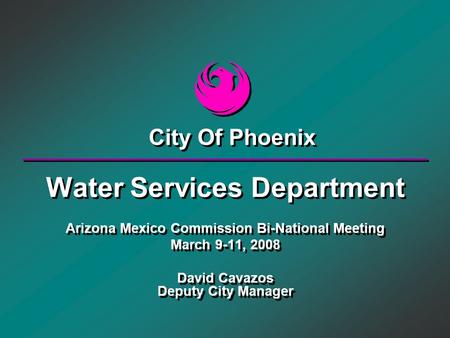 Water Services Department Arizona Mexico Commission Bi-National Meeting March 9-11, 2008 David Cavazos Deputy City Manager Water Services Department Arizona.