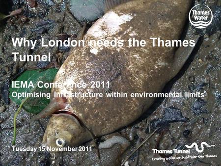 Why London needs the Thames Tunnel IEMA Conference 2011 Optimising Infrastructure within environmental limits Tuesday 15 November 2011.