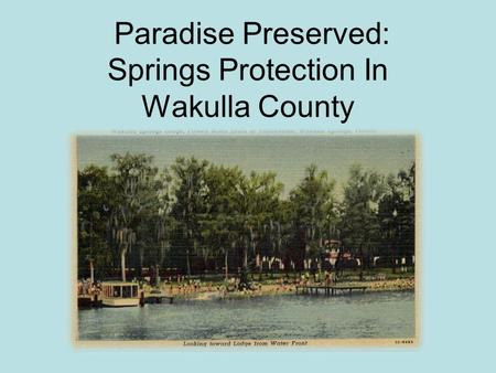 Paradise Preserved: Springs Protection In Wakulla County.