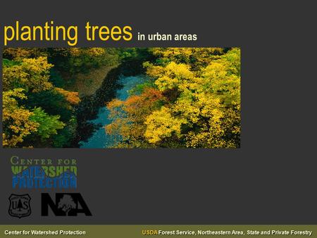 Center for Watershed Protection USDA Forest Service, Northeastern Area, State and Private Forestry planting trees in urban areas.