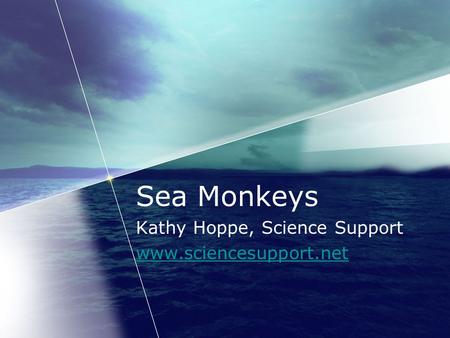 Sea Monkeys Kathy Hoppe, Science Support www.sciencesupport.net.