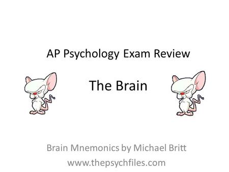 AP Psychology Exam Review The Brain
