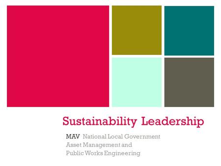 Sustainability Leadership MAV National Local Government Asset Management and Public Works Engineering.