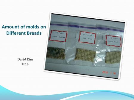 Amount of molds on Different Breads David Kim Hr. 2.