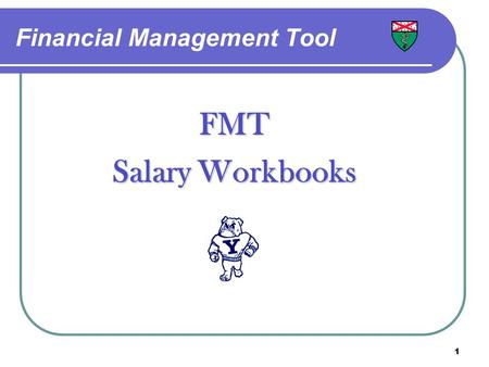 1 Financial Management Tool FMT Salary Workbooks.