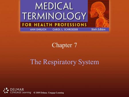 Anatomy and Physiology of the Respiratory System – Medical Terminology: An  Interactive Approach