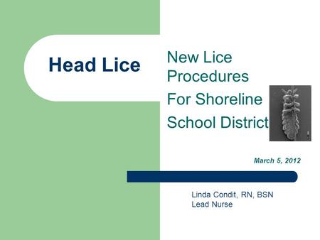 New Lice Procedures For Shoreline School District March 5, 2012