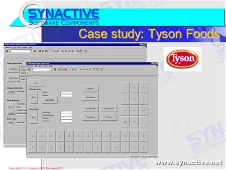 Copyright © 2001, Synactive LLC, Burlingame, CA Case study: Tyson Foods.